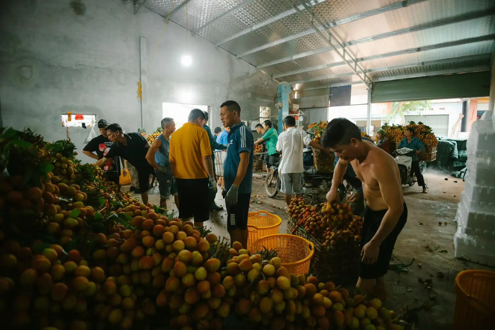 西南地区网架结构工程安装精度控制关键技术分析