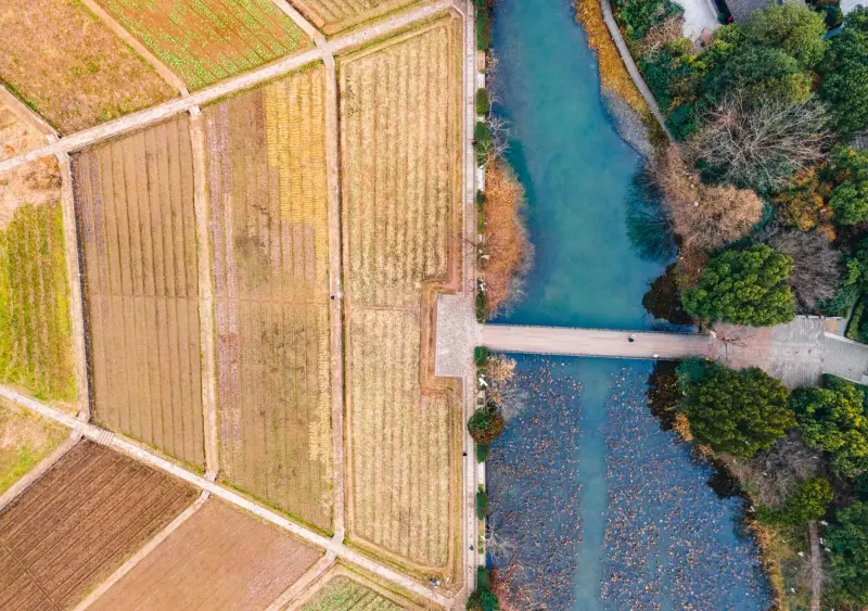 网架结构与钢结构厂房：两种大跨度工业建筑方案的对比分析