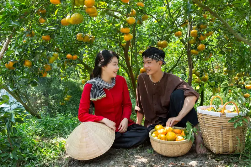 钢结构厂房H型钢选型指南：如何根据跨度与荷载确定截面规格