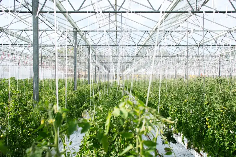 重庆恒凡达钢结构厂房工程：网架结构设计与施工关键技术解析